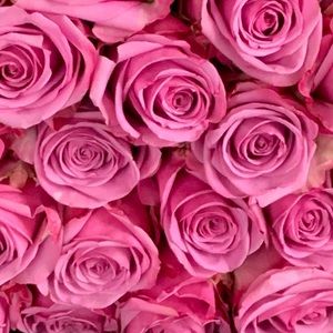 Meet your Posher, Tanya